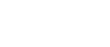 ANM logo